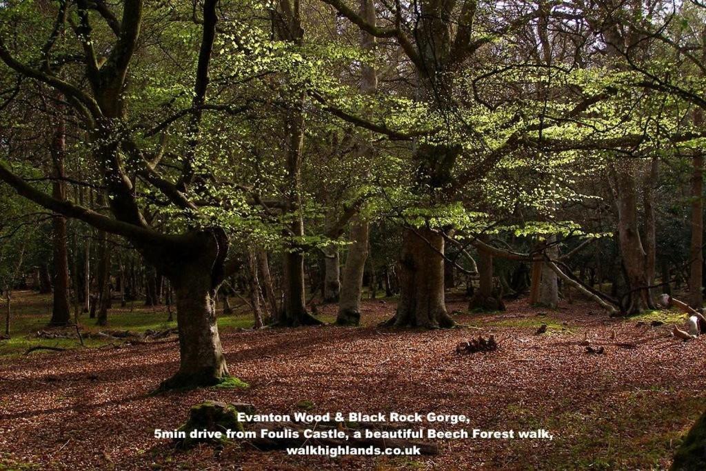 Foulis Castle Gate Lodge Evanton 外观 照片